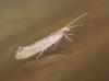 250885 – Photo : Thibaud Daumal – France (60)